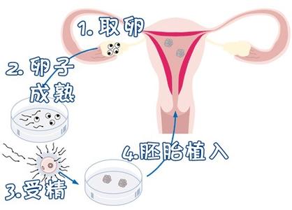 靠谱代怀包成功